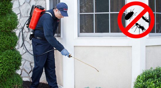 Keçiören Fare İlaçlama böcek ilaçlama ve haşere kontrolü — ilaclama-tr.com